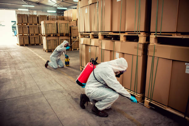 Best Affordable Pest Control Services  in Garland, TX