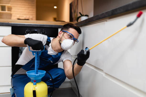 Best Best Pest Control Companies  in Garland, TX