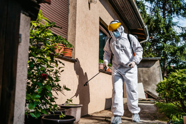 Best Bed Bug Extermination  in Garland, TX