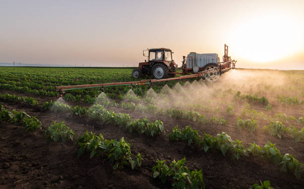 Best Mosquito Control Services  in Garland, TX