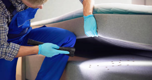 Best Pest Control Near Me  in Garland, TX