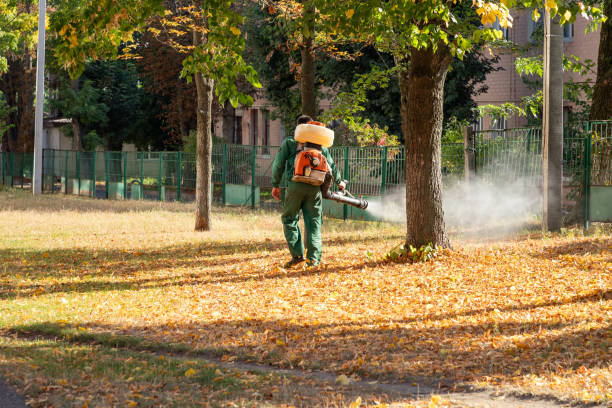 Best Rodent Control Near Me  in Garland, TX