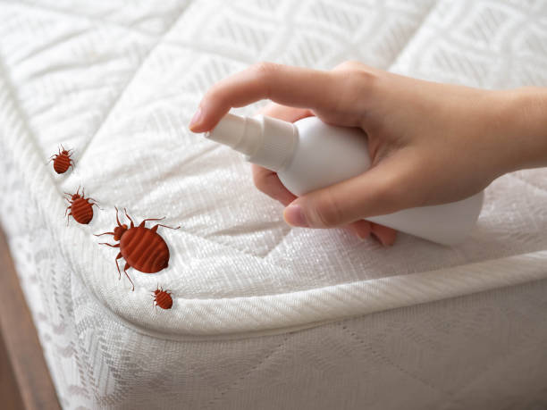 Pest Prevention Services in Garland, TX