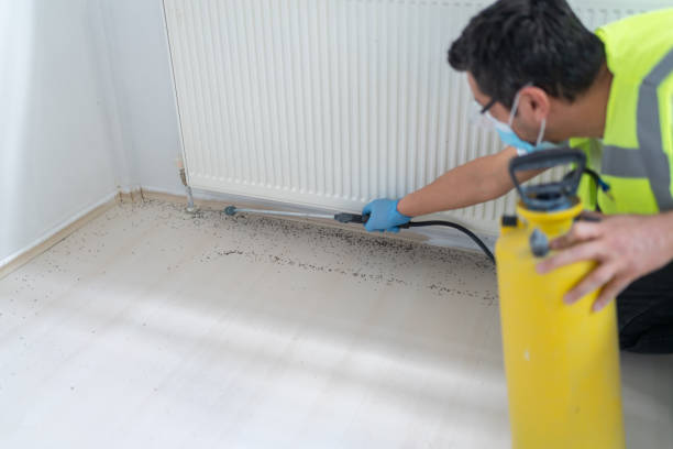  Garland, TX Pest Control Pros